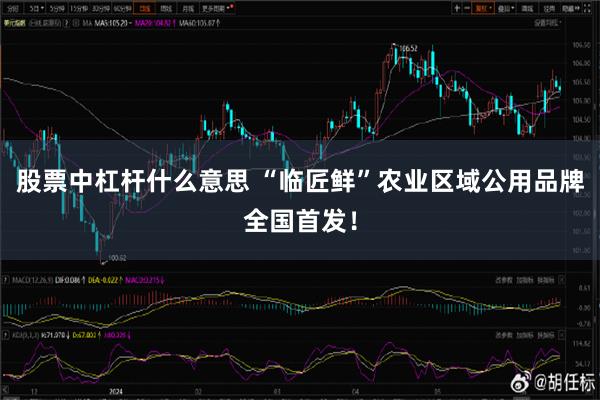 股票中杠杆什么意思 “临匠鲜”农业区域公用品牌全国首发！