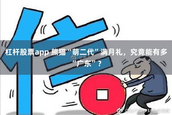 杠杆股票app 熊猫“萌二代”满月礼，究竟能有多“广东”？