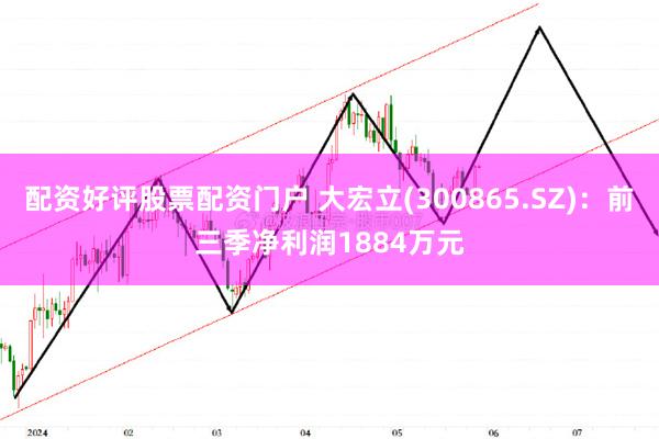 配资好评股票配资门户 大宏立(300865.SZ)：前三季净利润1884万元