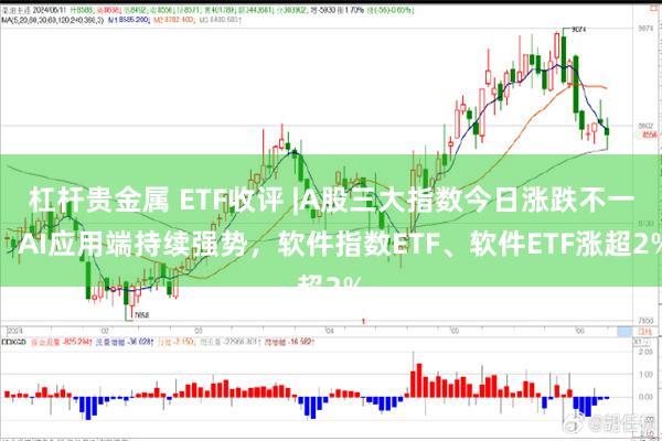 杠杆贵金属 ETF收评 |A股三大指数今日涨跌不一，AI应用端持续强势，软件指数ETF、软件ETF涨超2%