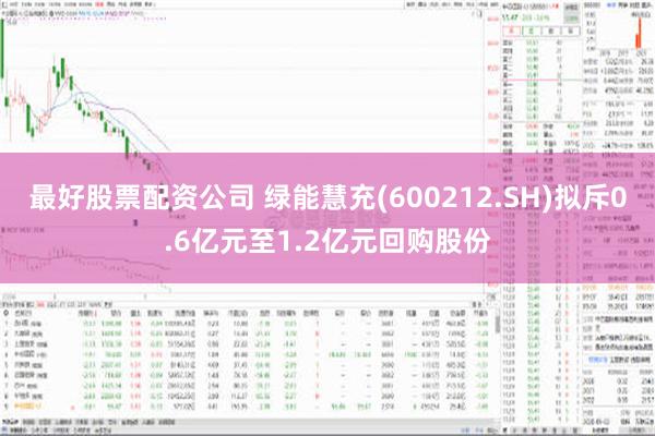 最好股票配资公司 绿能慧充(600212.SH)拟斥0.6亿元至1.2亿元回购股份