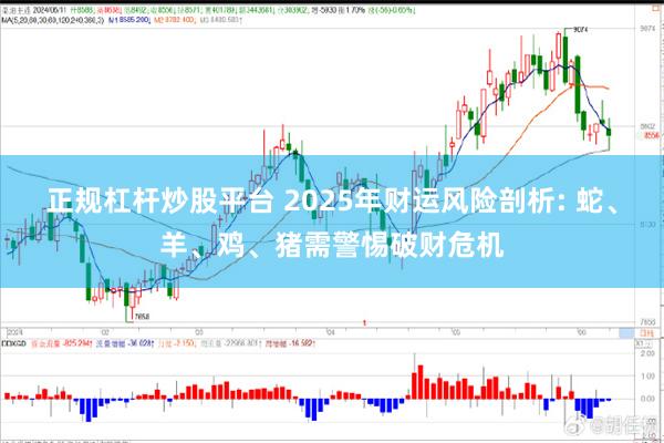 正规杠杆炒股平台 2025年财运风险剖析: 蛇、羊、鸡、猪需警惕破财危机